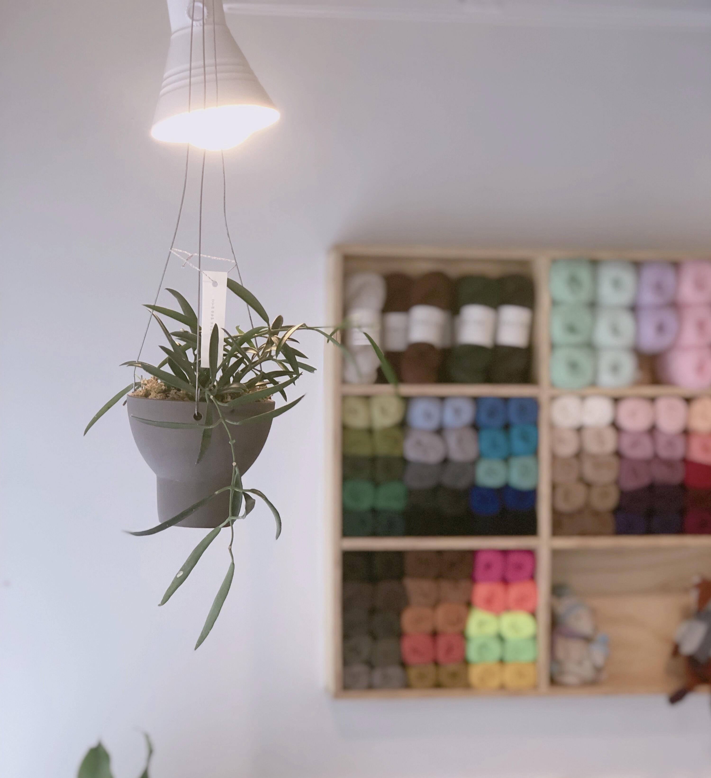 CLASS101+ | Even if you're a beginner, use the knitting room to make a ...