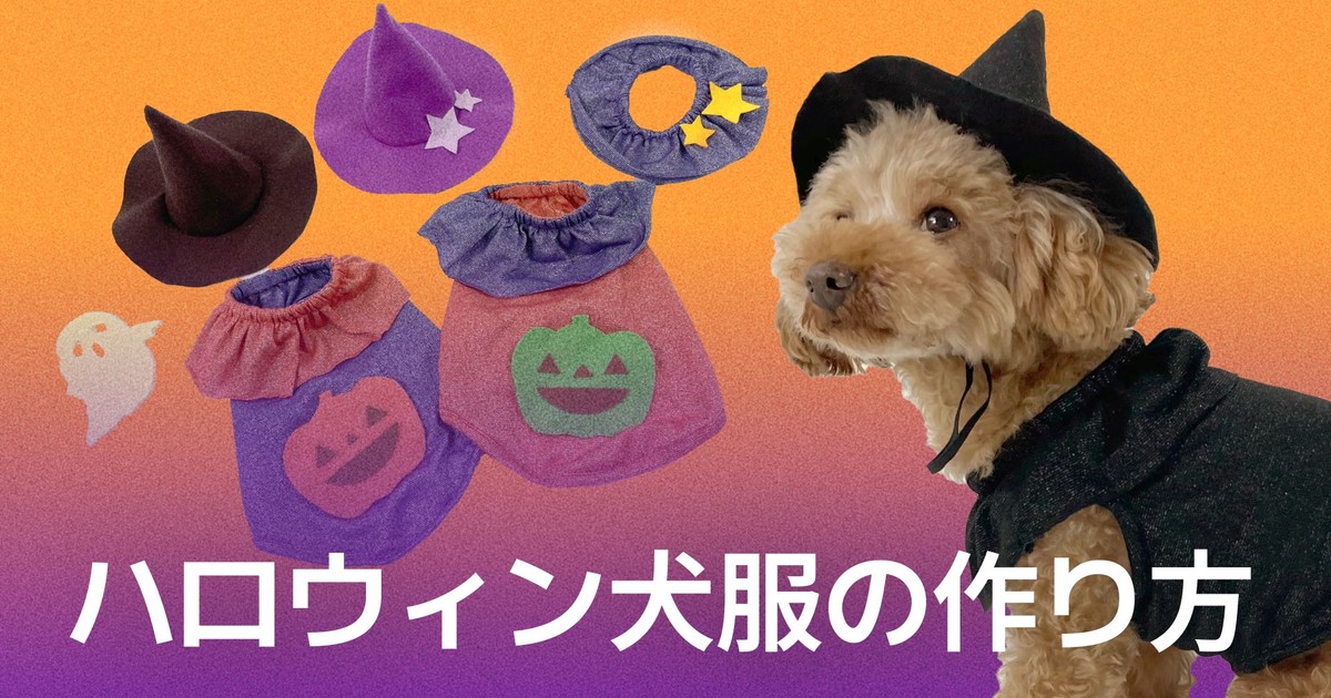 CLASS101+ | 愛犬と一緒に楽しむハロウィンの犬服づくり
