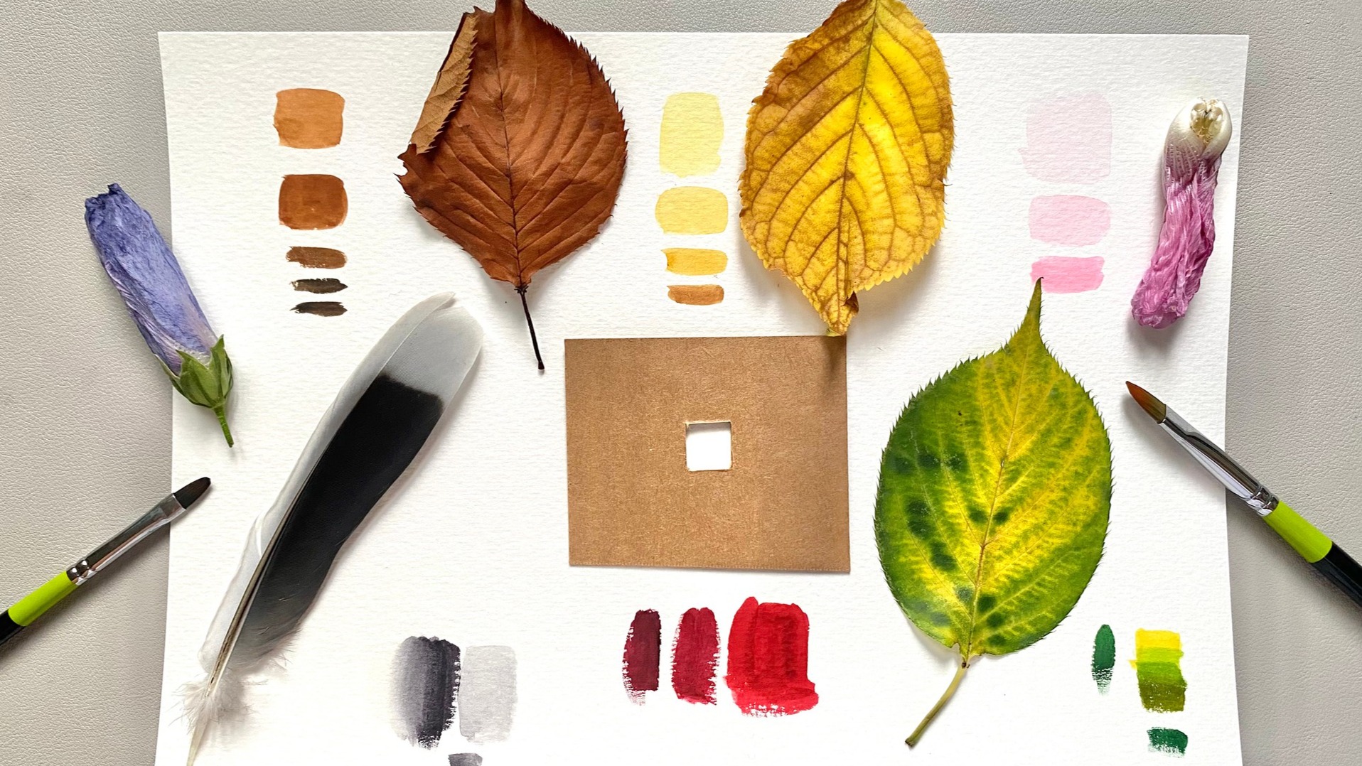 CLASS101+ | An introductory watercolor bootcamp for all things about ...