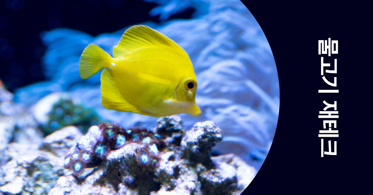 CLASS101+ | Raise tropical fish as a hobby and get paid one more time!