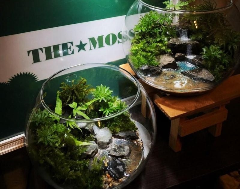 滝と川の流れるアクアテラリウムを作る【part97】Make a terrarium